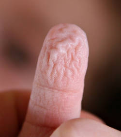 Ceci n'est pas mon doigt ( le mien est bien plus mignon tout de même)